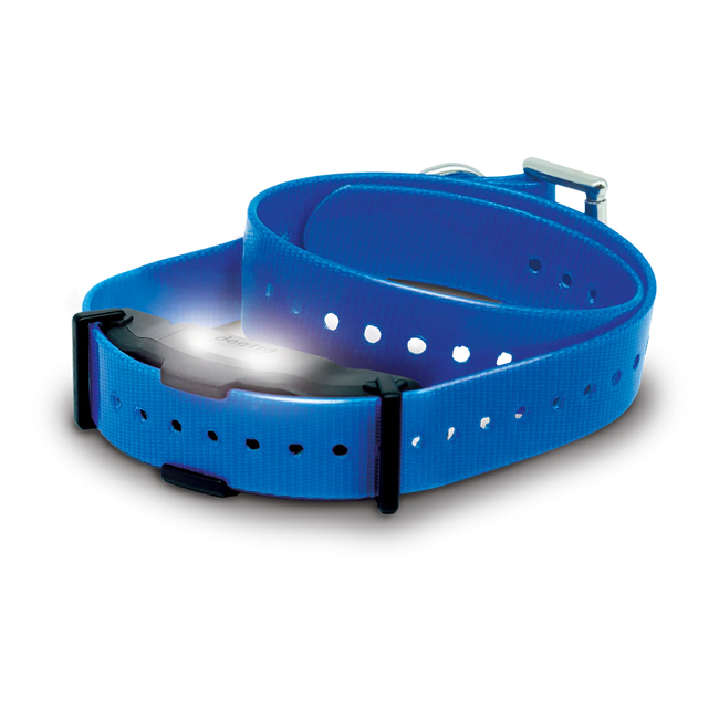 Zusatzhalsbandempfänger Dogtra ARC-X blau