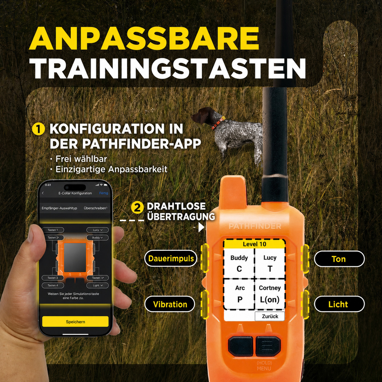 Dogtra Pathfinder 2 Compass