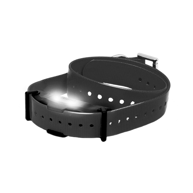 Zusatzhalsbandempfänger Dogtra ARC-X schwarz