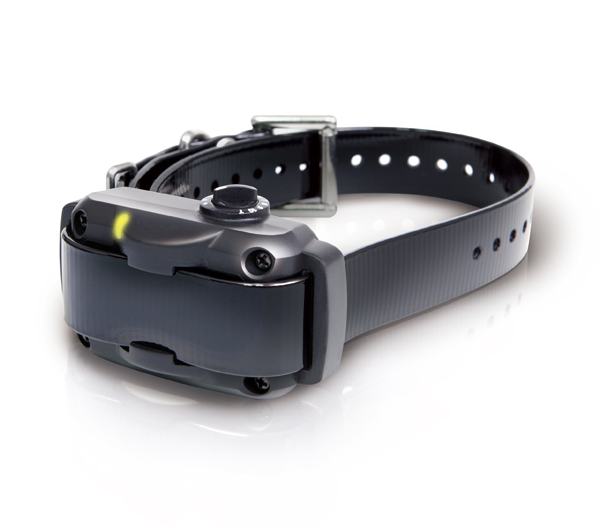 Dogtra YS 600 Antibellgerät