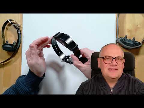 Zusatzhalsbandempfänger Dogtra 640X